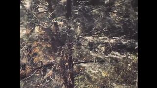 1981 - Erotic Interludes (720)