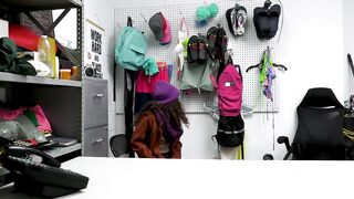 The Happy Holidays Thief - Amber Summer