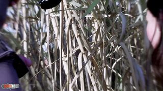 Bonne baise sur une plage publique - Pauline Cooper