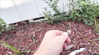 Brianna Beach Gainful Employment - MomComesFirst