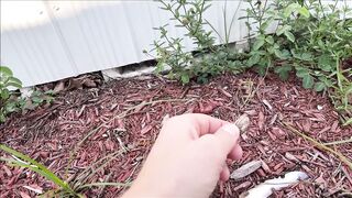 Brianna Beach - Gainful Employment