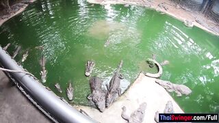 Crocodiles munching and Thai GF cumming