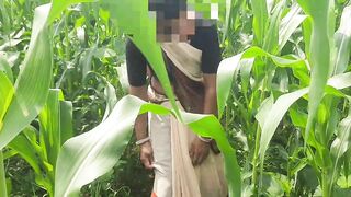 My real sister-in-law, the elder brother's housewife, had been asking for many days to make a mare in the open forest field and leave it, today I told my sister-in-law to farm maize in the open forest.