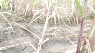 Mom step son fuck in village oudoor