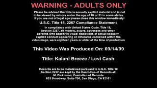 Cougar Kalani Breeze Fucking In The Couch With Her Tits