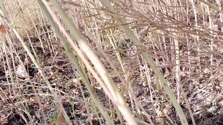 Hot desi sweet girlfriend