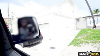 Violet Bangbus