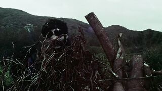 1974 - The Beauties And The Beast (1080)