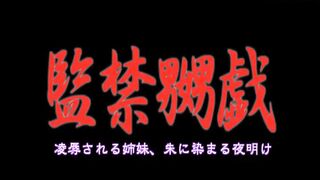 DTRS-018 [Uncensored Leaked] Stepsisters Confined, Tormented And R**ed, Crimson Dawn