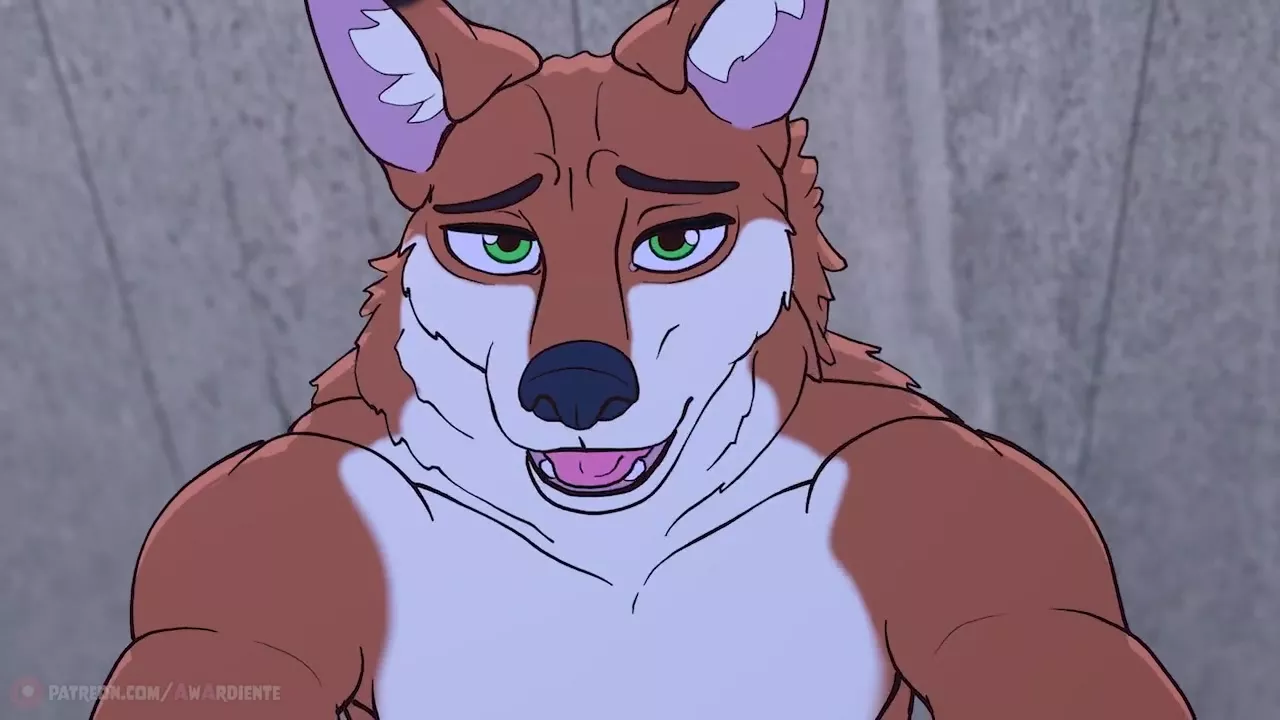 Gay Furry Wolf Porn - FLOOR 19 Furry Gay Animation