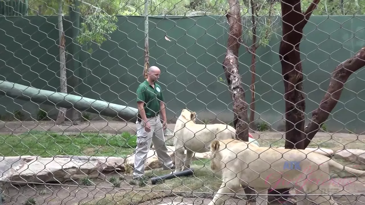 ATKGirlfriends] Ariana Marie (Virtual Vacation 4)